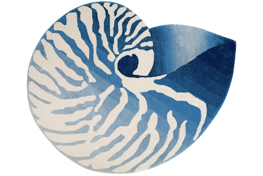 Nautilus Teal Rug