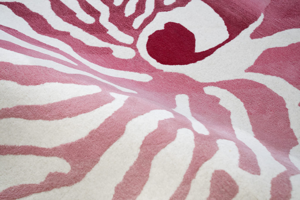 Nautilus Pink Rug