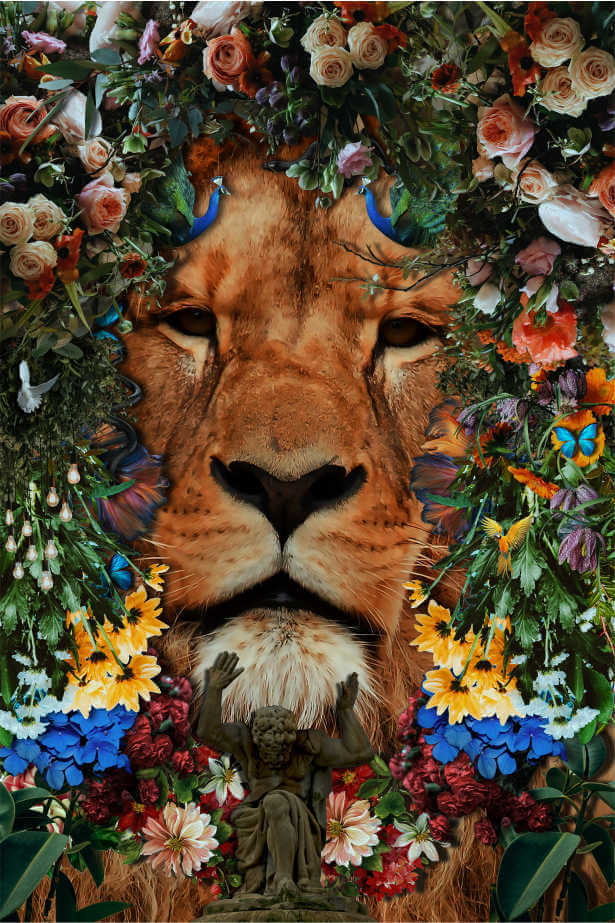 Lion Age