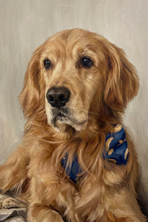 Pets portrait