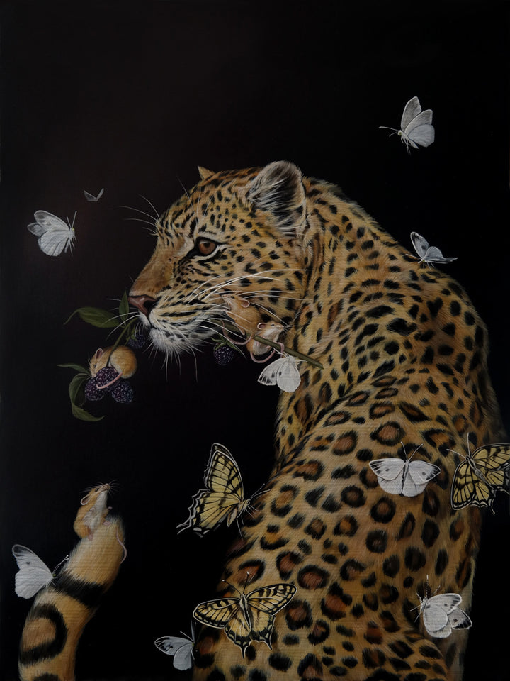 The Hunt for Beauty