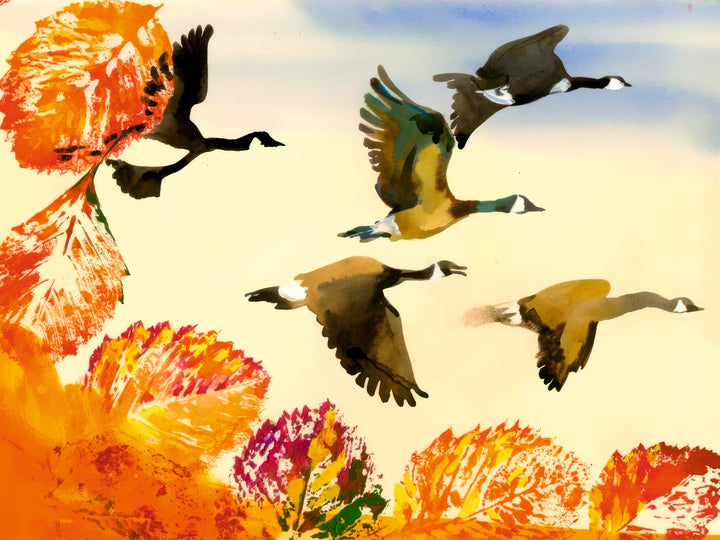 Flying Birds