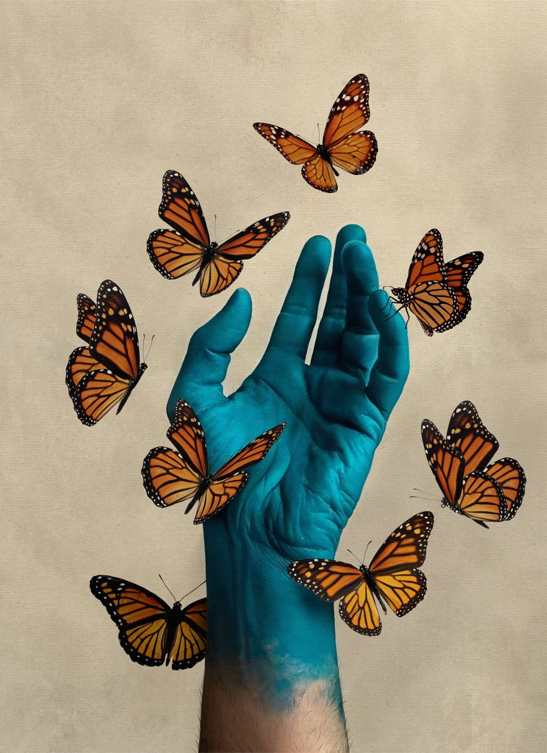 A Handful of Dreams