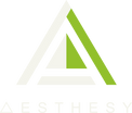 Aesthesy