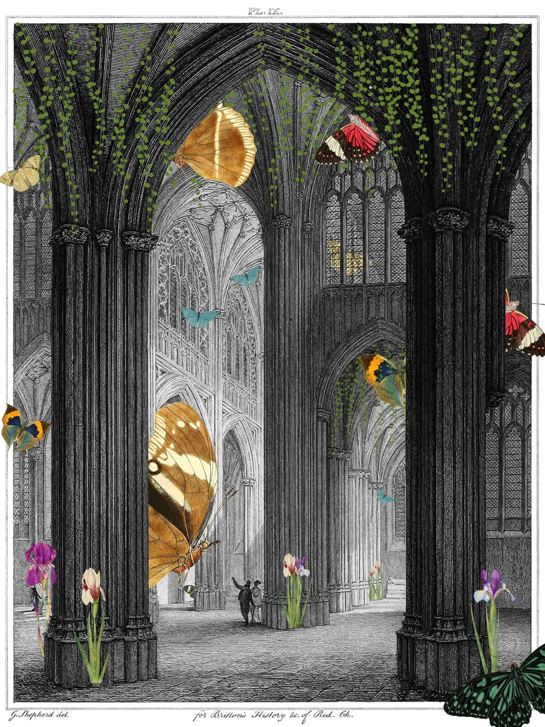 Butterfly Cathedral