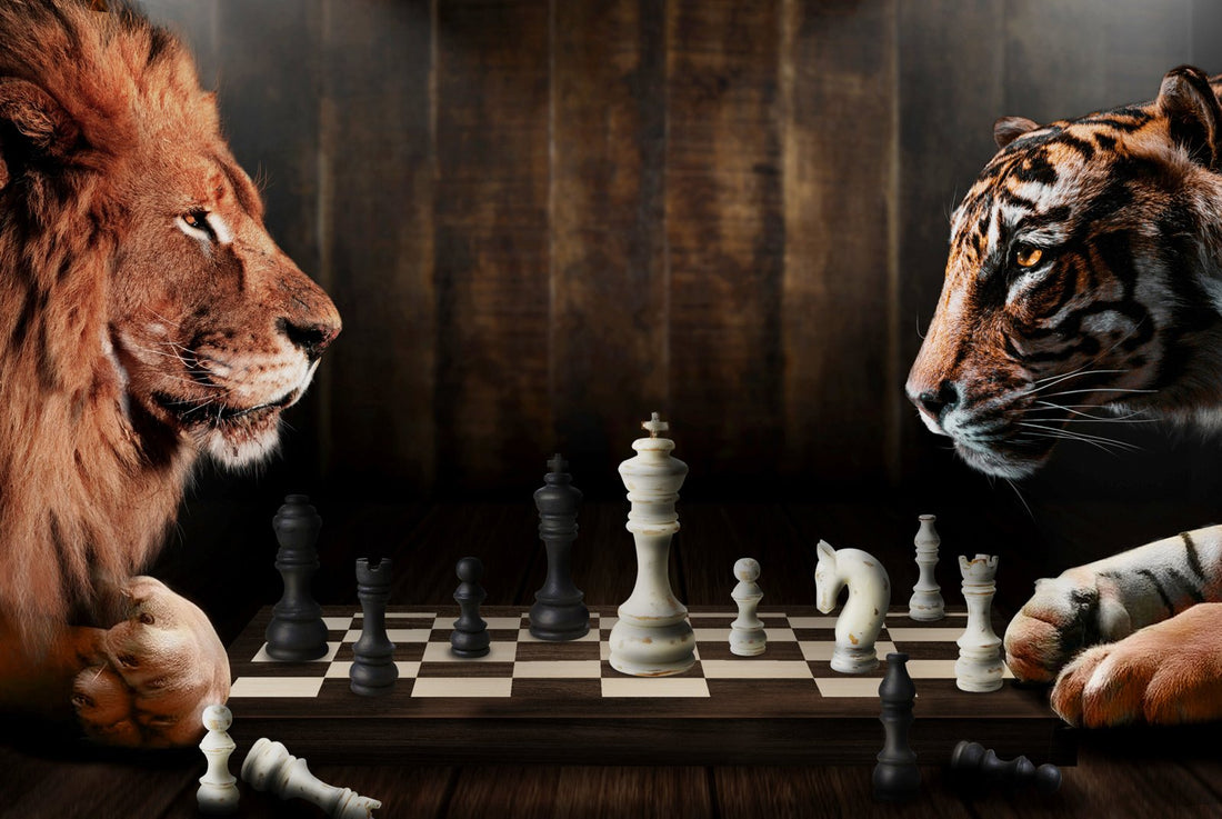 Check and Mate - Set of 3