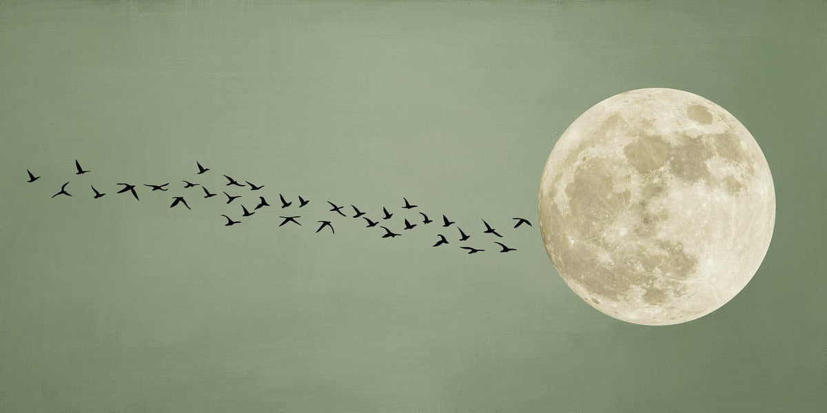Flight to the Moon