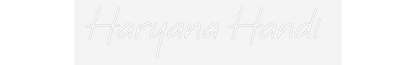 Custom Neon Sign: Haryana Handi