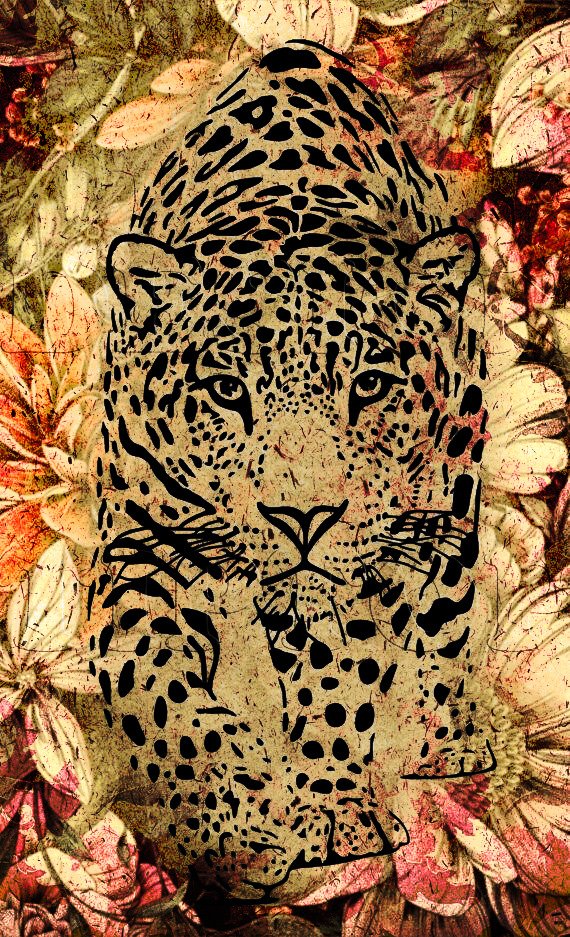 Leopard Bloom