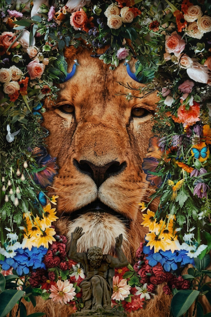 Lion Age