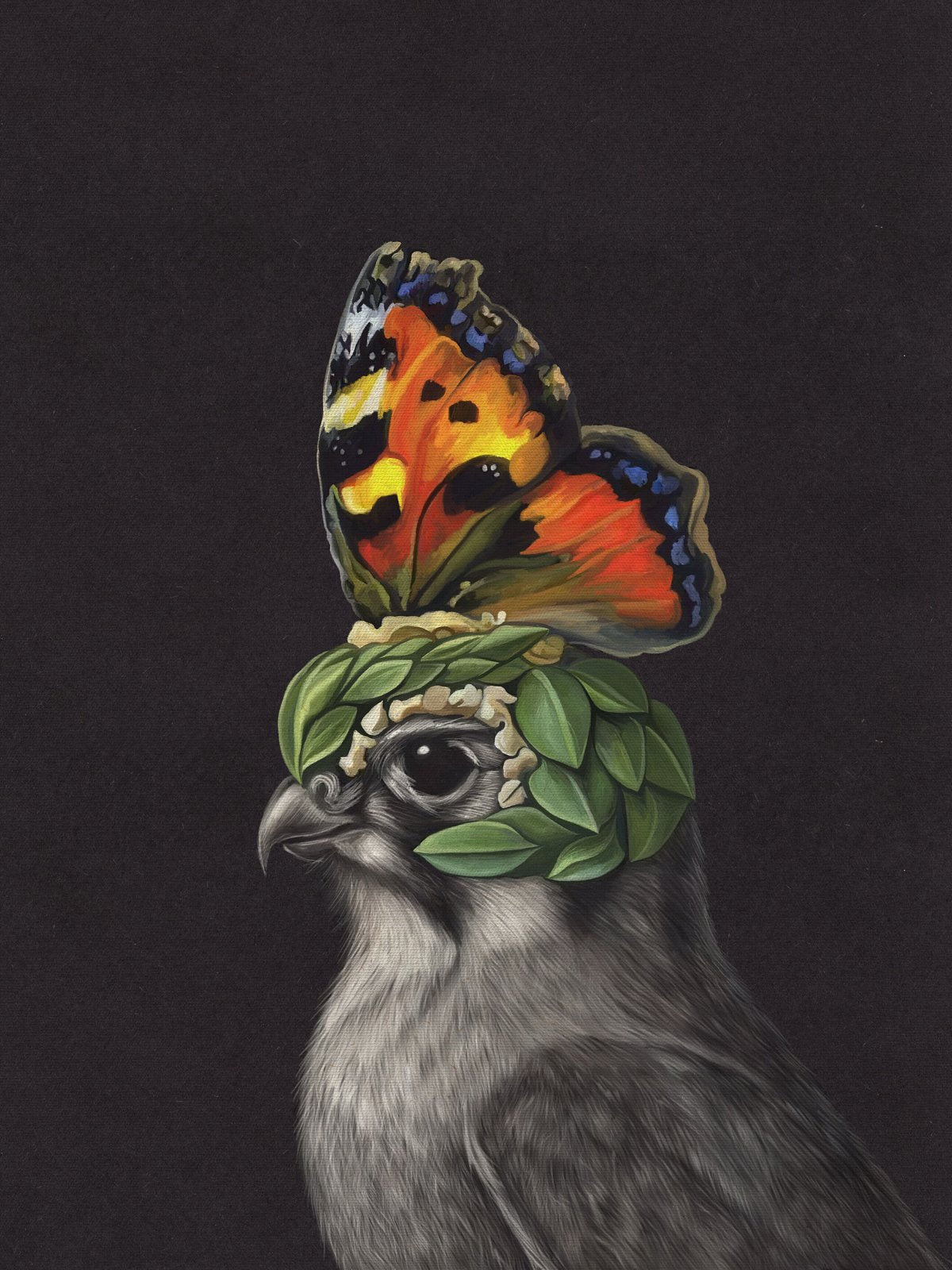 The Bird of Paradise