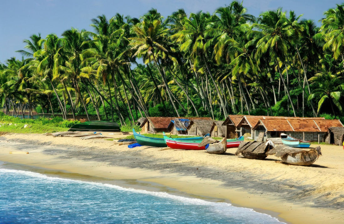 The Coast Side
